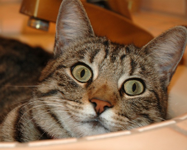 Photo de profil de wilhelmine