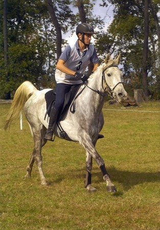 Photo de profil de atelierducheval