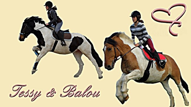 Photo de profil de xtessybalou