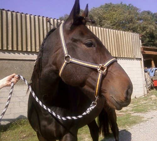 Photo de profil de teina11