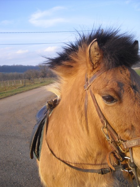 Photo de profil de donaldo