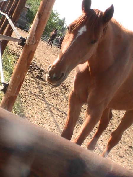 Photo de profil de clothildelf