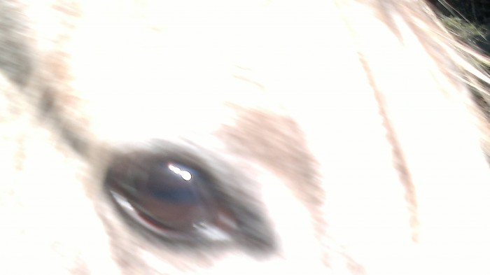 Photo de profil de miella