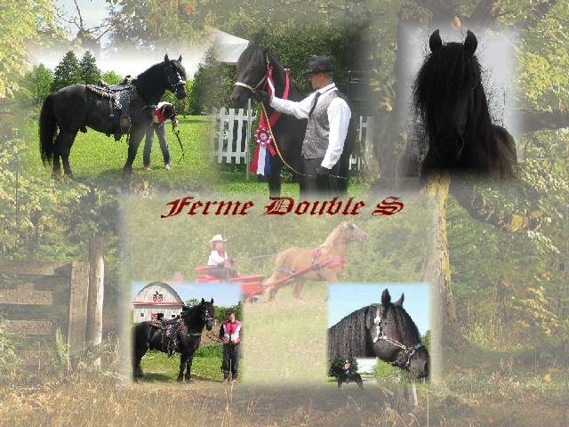 Photo de profil de aivlys