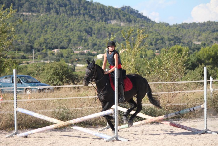 Photo de profil de chevalpassion34