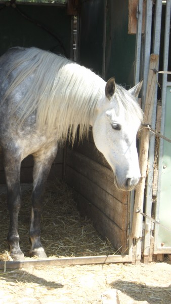 Photo de profil de blackbriosa