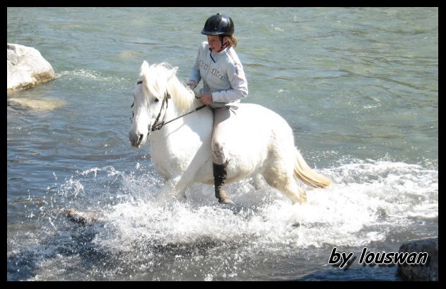 Photo de profil de louswan