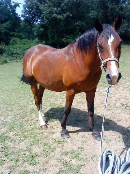 Photo de profil de flika77