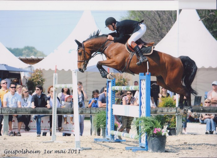 Photo de profil de jumping88