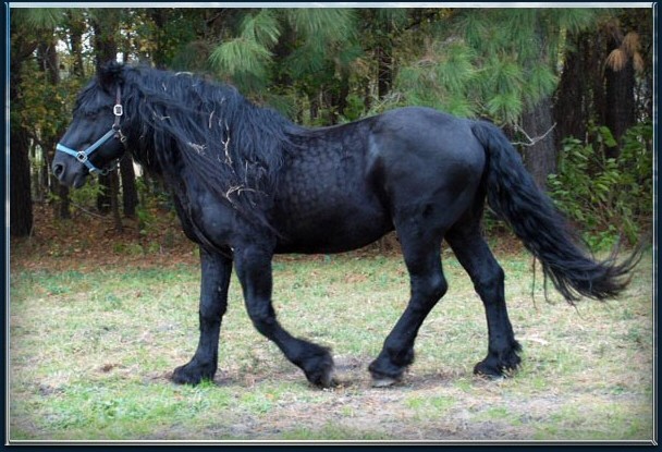 Photo de profil de ovaline