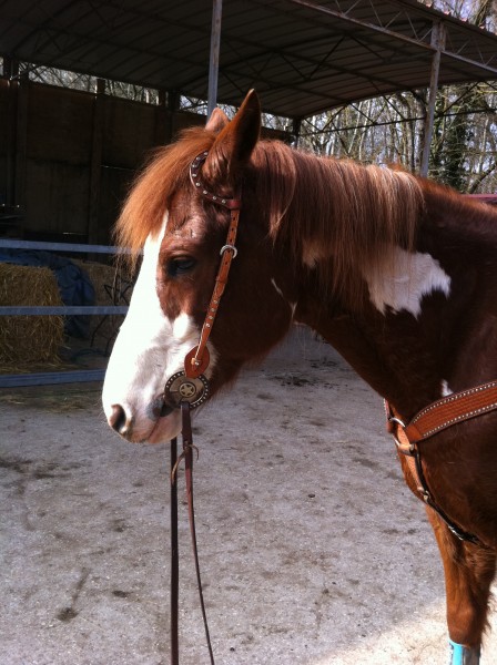 Photo de profil de lauravernay