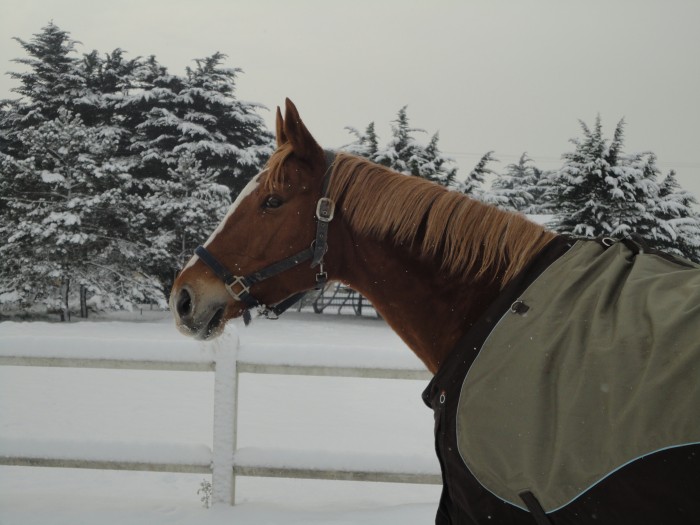 Photo de profil de lamat