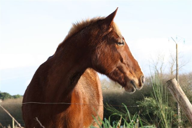 Photo de profil de soleildeprada