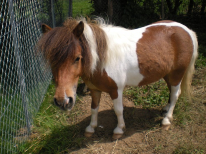 Photo de profil de choupy0190