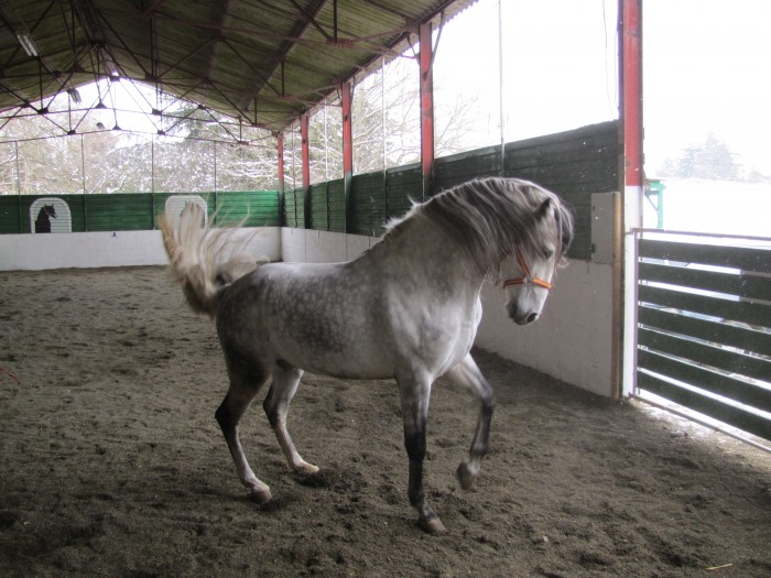 Photo de profil de buell