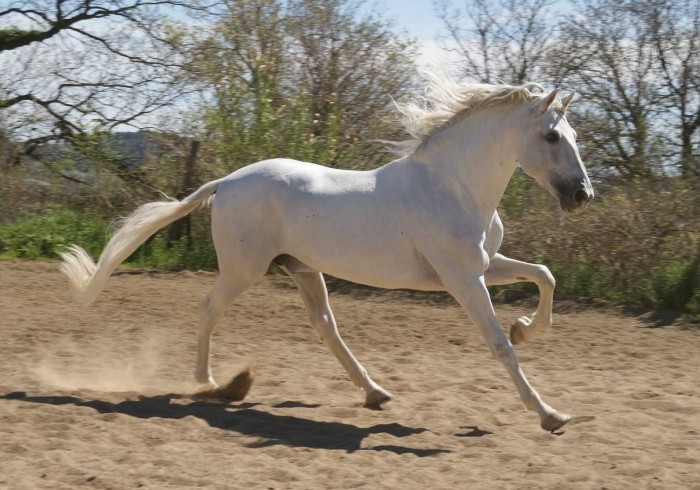 Photo de profil de chicago