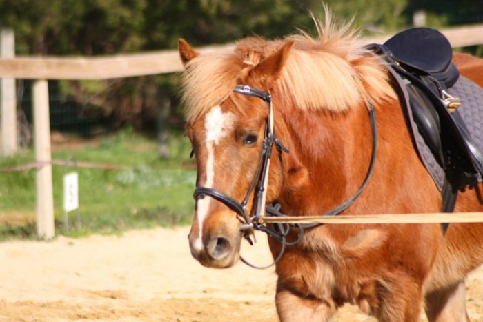 Photo de profil de jenynoa