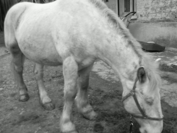 Photo de profil de titiroyaladada