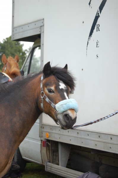 Photo de profil de marina95490