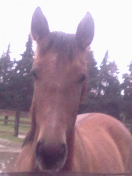 Photo de profil de victorina