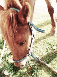 Photo de profil de ouganda