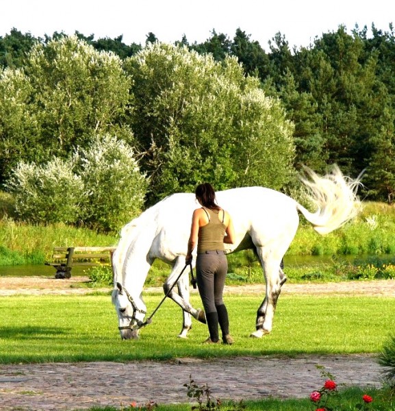 Photo de profil de caval_cso