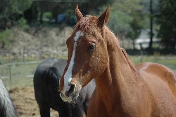 Photo de profil de halino