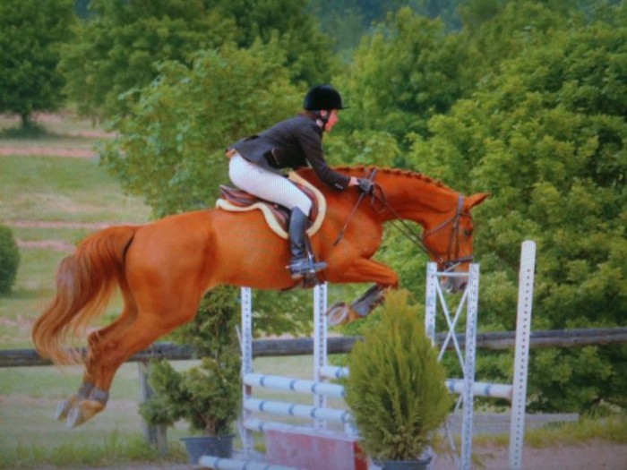 Photo de profil de celine16