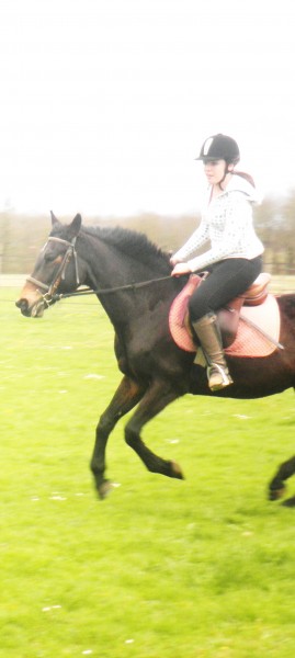 Photo de profil de laurelis