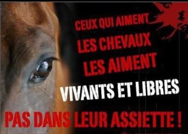 Photo de profil de maty0508