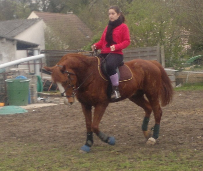 Photo de profil de savane77