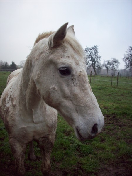 Photo de profil de audreymouchou
