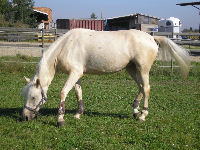 Photo de profil de gabyscarlett