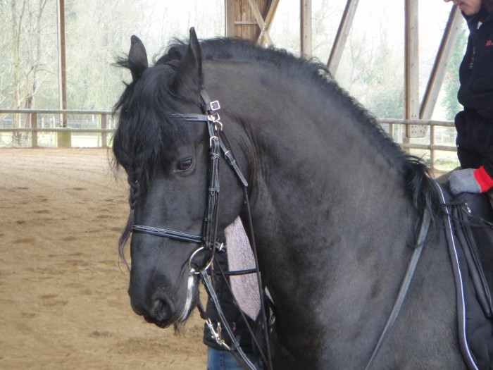 Photo de profil de enzominv