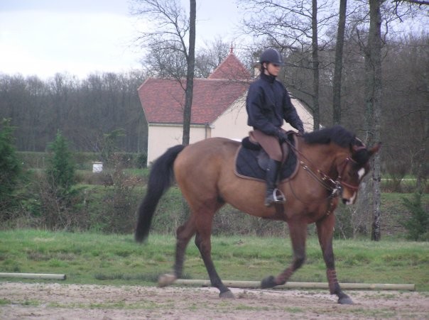 Photo de profil de ecurie45