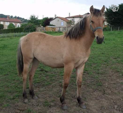 Photo de profil de vanillemavie