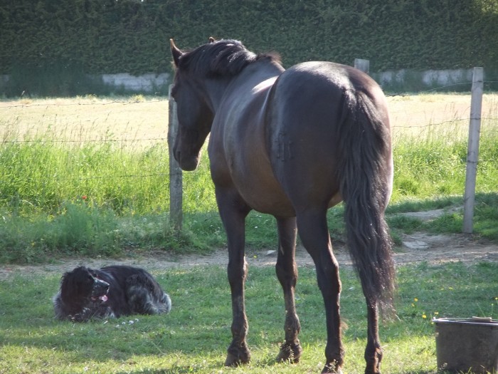 Photo de profil de blacky6