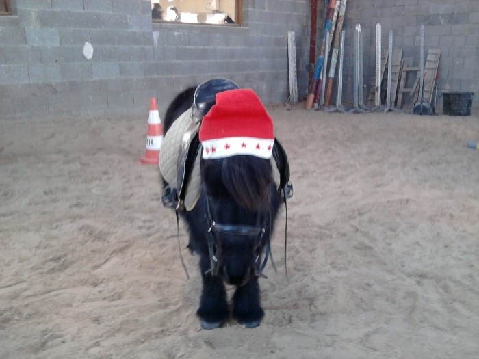 Photo de profil de cocodu42
