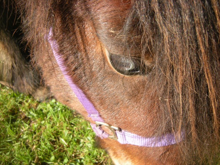 Photo de profil de titia13