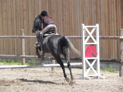 Photo de profil de pacha.du.thil