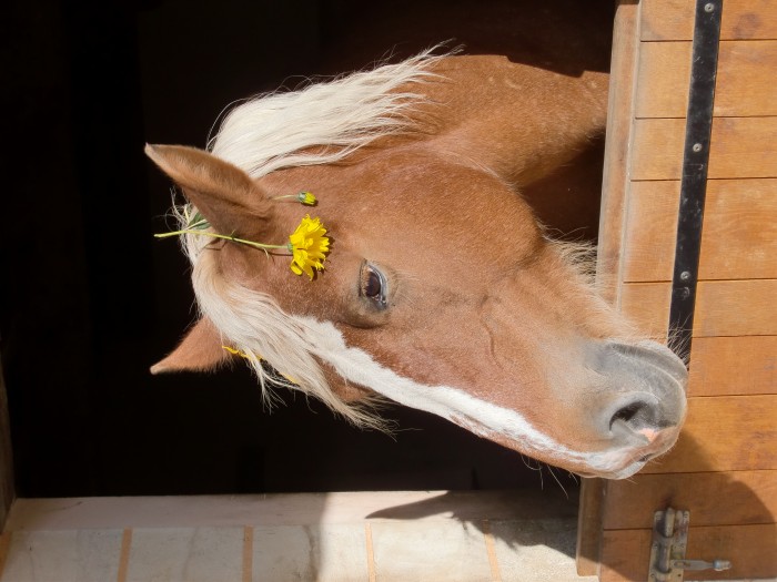 Photo de profil de nani9111