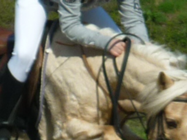 Photo de profil de totim