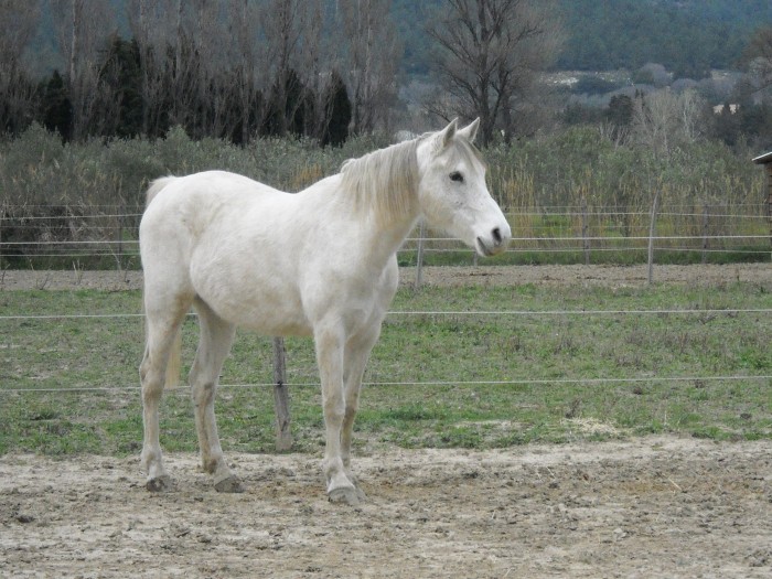 Photo de profil de pensionnaire