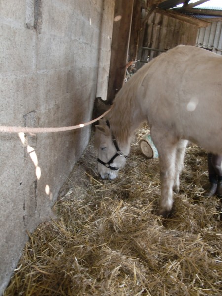 Photo de profil de emiliejs