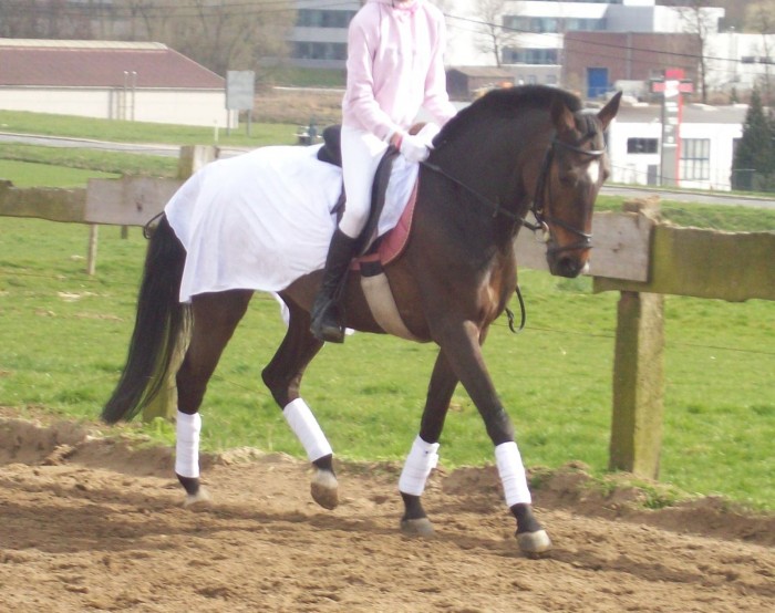 Photo de profil de sof1996