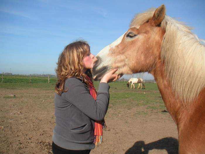 Photo de profil de cheval_x3