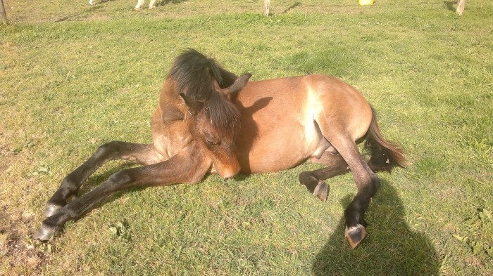 Photo de profil de marie_82