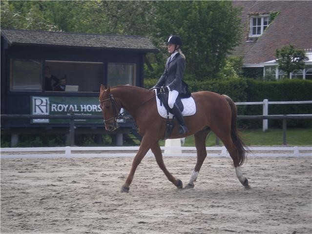 Photo de profil de jumping