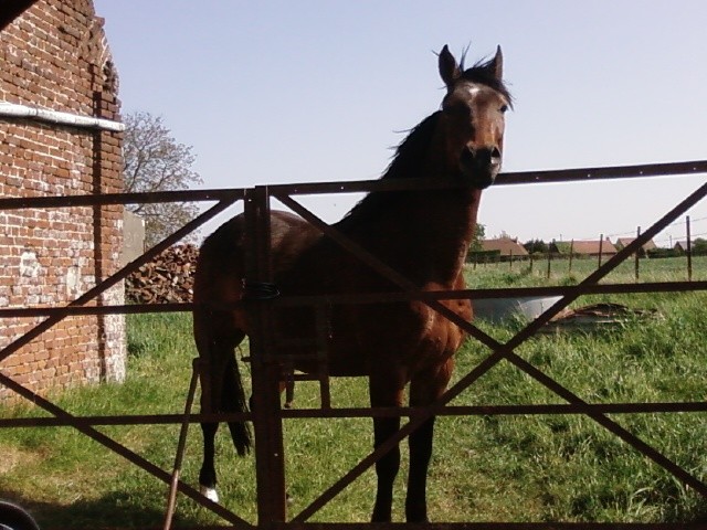 Photo de profil de audrey80320