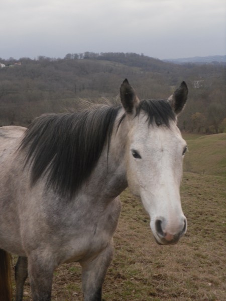 Photo de profil de elodu64
